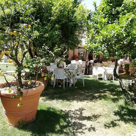 Villa Esmeralda Amantea Exterior foto